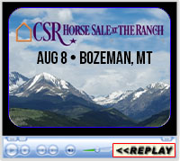2020 Copper Spring Ranch Performance Horse Sale, Bozeman, MT - August 8, 2020